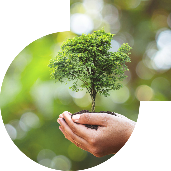 關懷人類、文化、環境與社會